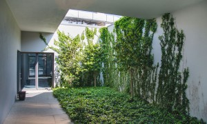 Normas funcionamento em período Covid-19 Braga Conservatório Bomfim Plano de Contingência